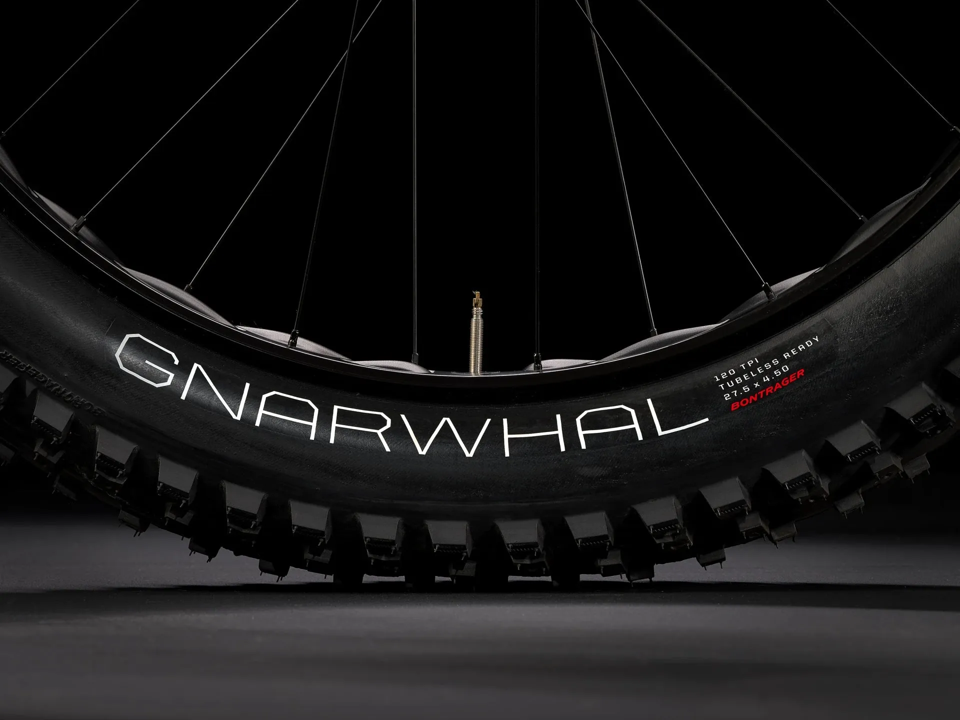 Farley 9 - Fat Bike
