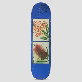 Passport 8.38 Tin Floral Series Bottles & Stars Skateboard Deck