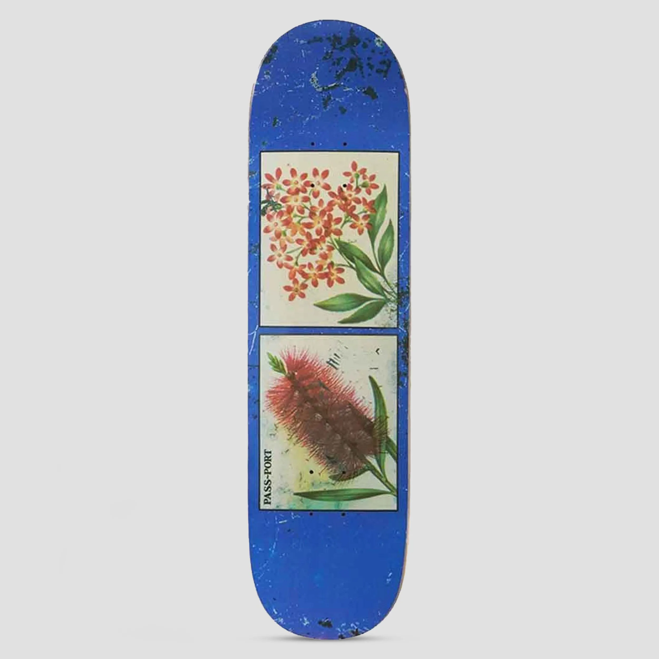 Passport 8.38 Tin Floral Series Bottles & Stars Skateboard Deck