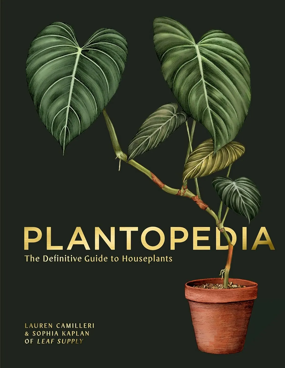 Plantopedia: The Definitive Guide to Houseplants Hardcover  October 27, 2020