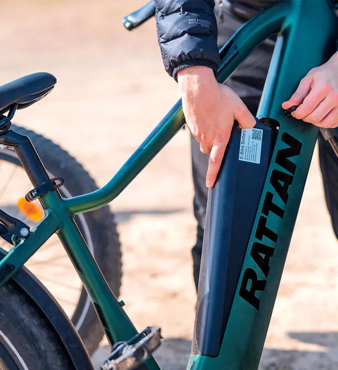 Rattan Pathfinder 750W 48V Mountain Electric Bike