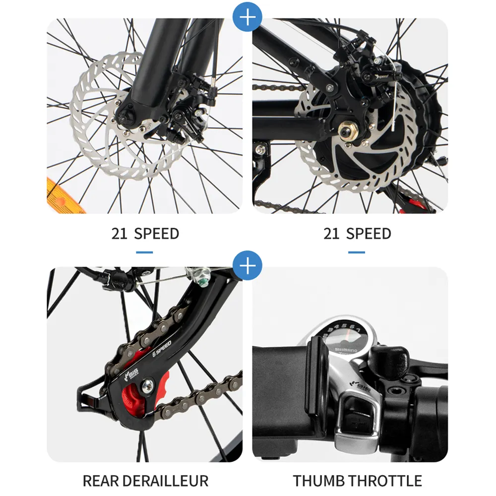 Ridstar Winner Folding Electric Bike 1000W Fat Tire Ebike 48v Mountain